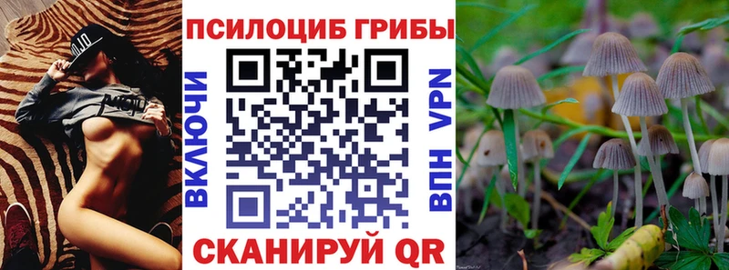 Галлюциногенные грибы Psilocybine cubensis  Александровское 